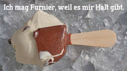 Bilder 1-3: Furnier sch�tzt das Klima in optisch reizvoller Form. Fotos: IFN